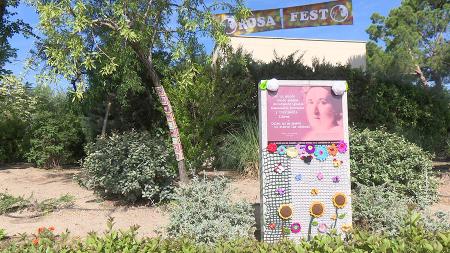 Imagen Fiestas en la Urbanización Rosa Luxemburgo de Sanse por su 40º Aniversario