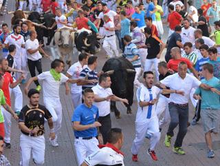 Imagen Los toros enfilando Estafeta hacia la Plaza de toros