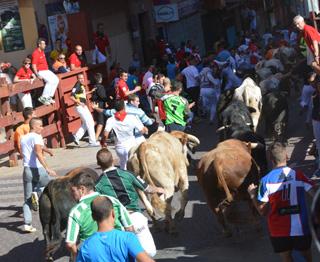 Imagen 3000 corredores han participado en el encierro