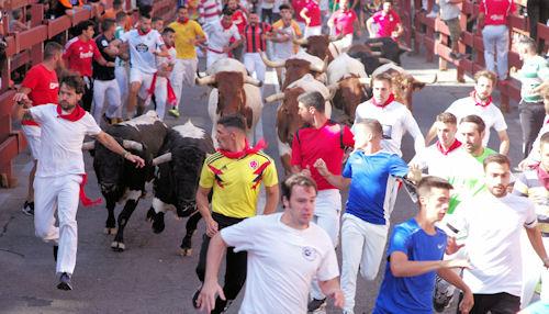 Imagen 1200 corredores se han dado cita en la manga del encierro