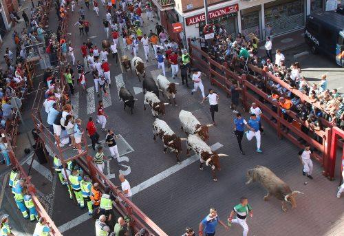 Imagen Encierro con toros de Villalpando