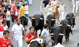 Imagen Encierros del 30 de agosto de 2016