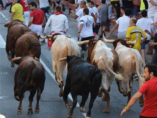 Imagen Encierro 28 de agosto de 2019