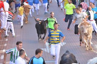 Imagen Los corredores, a su paso por la calle Estafeta.