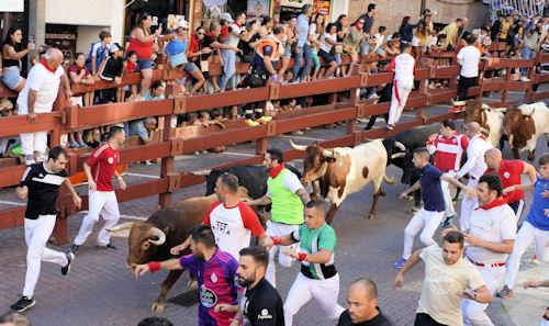 Imagen Un encierro multitudinario con 1800 corredores y 4000 asistentes