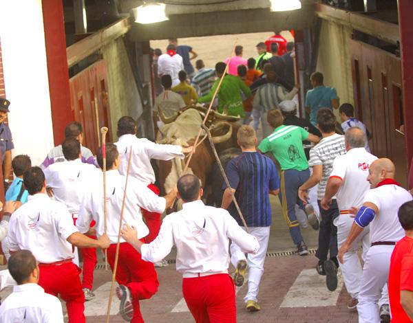 Imagen Manada y corredores encierro 29 de agosto