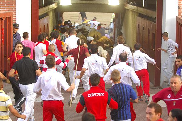 Imagen Foto del encierro del 30 de agosto de 2009