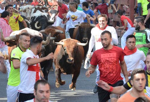 Imagen Los participantes se han estimado en más de 1.400.