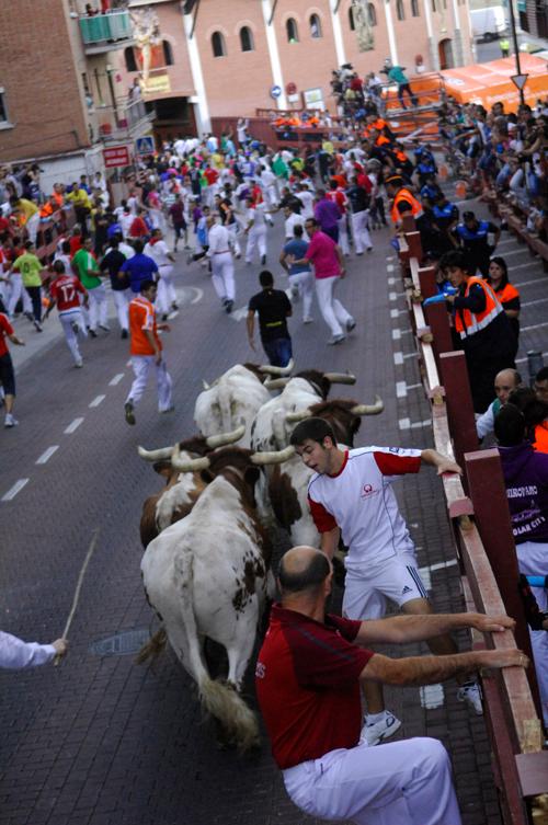 Imagen Selección fotográfica del tercer encierro de 2012