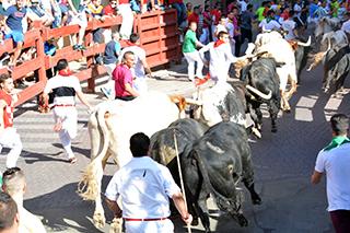 Imagen Encierros del 29 de agosto de 2016