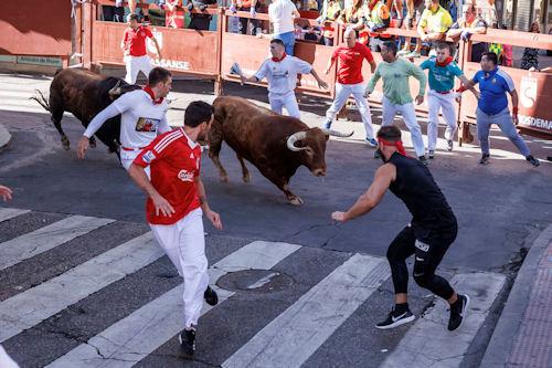 Imagen Un encierro catalogado como 