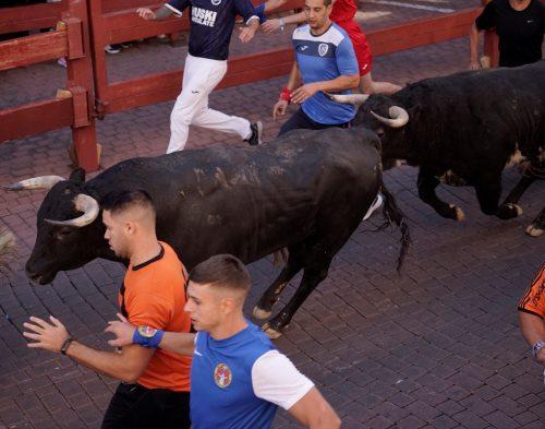 Imagen El encierro ha propiciado largas carreras