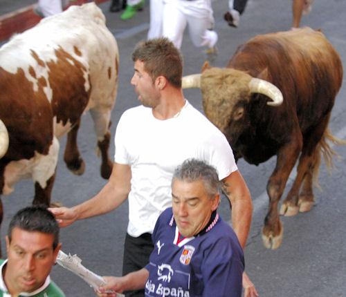 Imagen Galería fotográfica del encierro de 29 de agosto de 2011