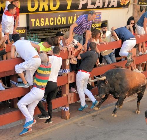 Imagen Encierros con emoción y riesgo y sin apenas incidentes