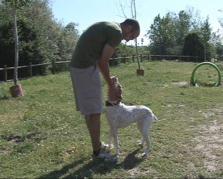 Imagen Nuevas áreas caninas