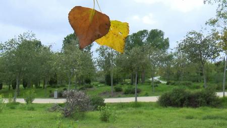 Imagen Oda al otoño desde la Dehesa Boyal de San Sebastián de los Reyes