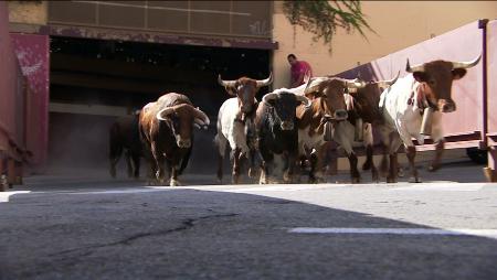 Imagen Encierro de San Sebastián de los Reyes del 28 de agosto de 2019