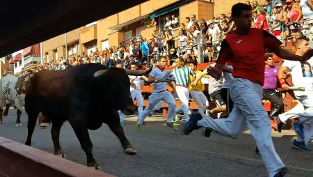 Imagen Vertiginoso y accidentado cuarto encierro de Sanse 2019