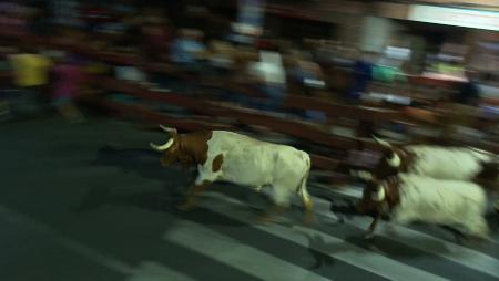 Imagen La tradicional cabestrada anticipa un año más la grandeza de los...