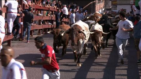 Imagen Encierro de San Sebastián de los Reyes del 30 de agosto de 2019