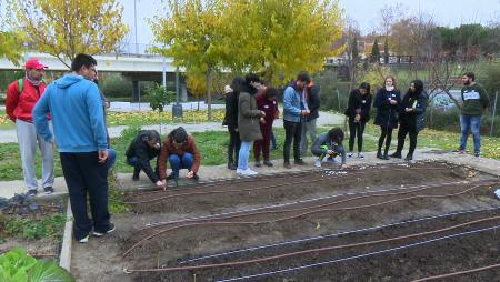 Imagen Los huertos urbanos como dinámica de equipo entre los trabajadores de...