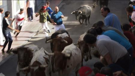 Imagen Velocidad, ritmo y nobleza en el quinto encierro de Sanse 2019