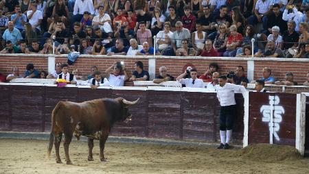 Imagen Máxima expectación, arte, conmoción y vértigo en el Concurso...