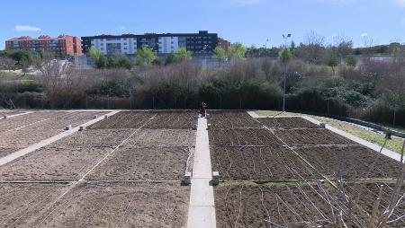 Imagen Nuevas manos para labrar los huertos urbanos de Sanse