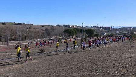 Imagen Sanse correrá un cross por la Dehesa Boyal para luchar contra el Parkinson