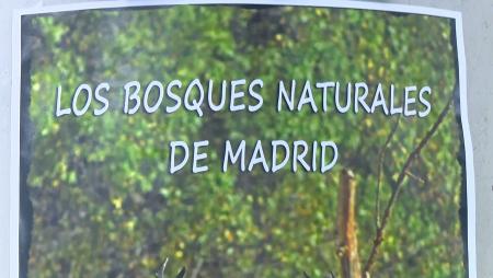 Imagen Sanse celebró el Día Mundial de los Bosques con la muestra de un...