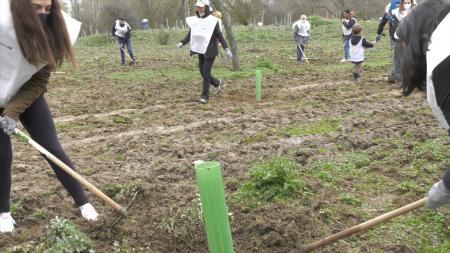 Imagen Sanse y la Fundación FDI celebraron el Día Mundial del Clima plantando...