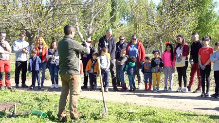 Imagen Una plantación de 1.000 árboles en la Vereda del Jarama por el Día...