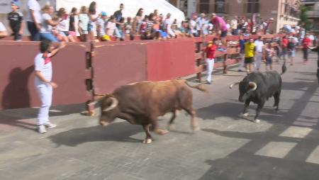 Imagen Los seis encierros de Sanse 2017, rápidos, limpios y variados