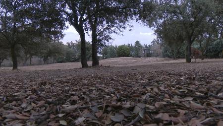 Imagen El Consistorio recupera la parcela concedida para un campo de golf