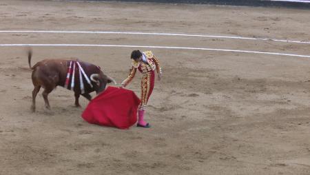 Imagen Primera corrida de feria en Sanse