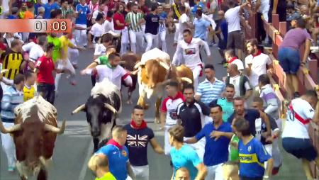 Imagen Primer encierro de San Sebastián de los Reyes 2017