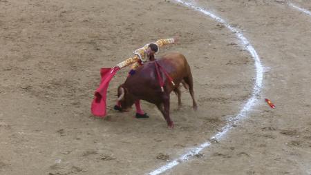 Imagen Segunda corrida de feria en Sanse