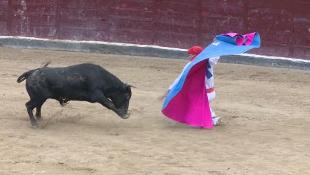 Imagen Las peñas disfrutan de su día con la celebración de la gran becerrada