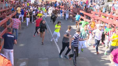 Imagen Emoción y velocidad en el sexto y último encierro de Sanse