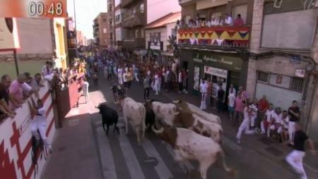 Imagen Segundo encierro de Sanse 2016, uno de los más vistosos y emocionantes...