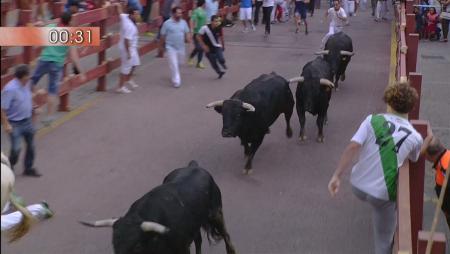 Imagen Quinto encierro de las Fiestas de San Sebastián de los Reyes