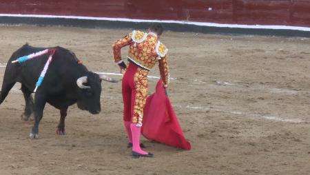 Imagen El día a día de la Feria Taurina 2016 de Sanse