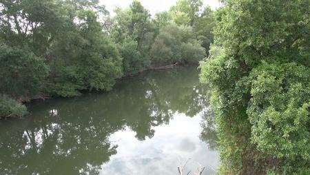 Imagen Mira Sanse: el río Jarama