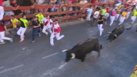 Imagen Manada muy templada y gran participación en el primer encierro de Sanse...