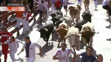 Imagen Tercer encierro de las Fiestas de San Sebastián de los Reyes 2015