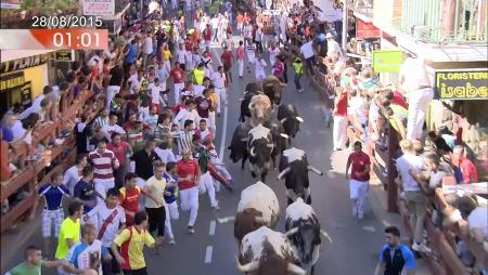 Imagen Cuarto encierro de las Fiestas de San Sebastián de los Reyes 2015