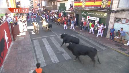 Imagen Sexto encierro de las Fiestas de San Sebastián de los Reyes 2015