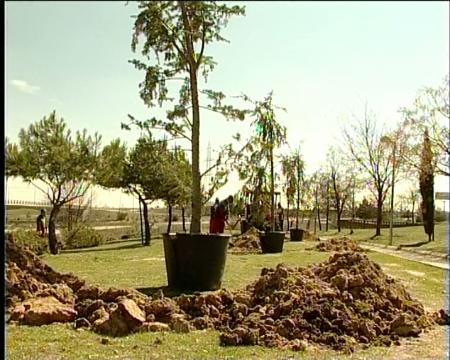 Imagen El futuro Parque Internacional de Escultura de Sanse se viste de verde