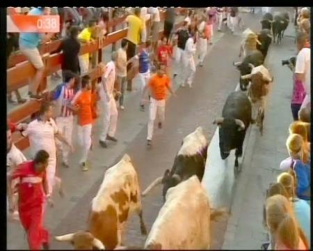 Imagen Toros para rejones en puntas por primera vez en un encierro de Sanse