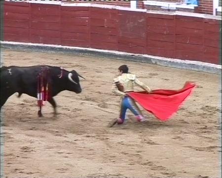 Imagen Feria de S.S. de los Reyes: Crónica de la Novillada del 27 de agosto